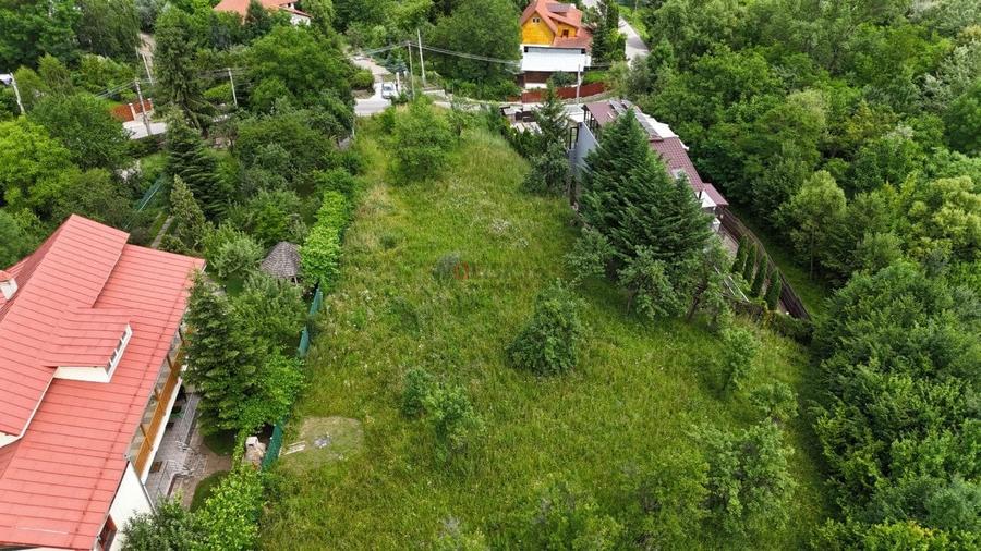 Breaza de Sus - Gura Beliei - teren cu vedere spre munte - 9