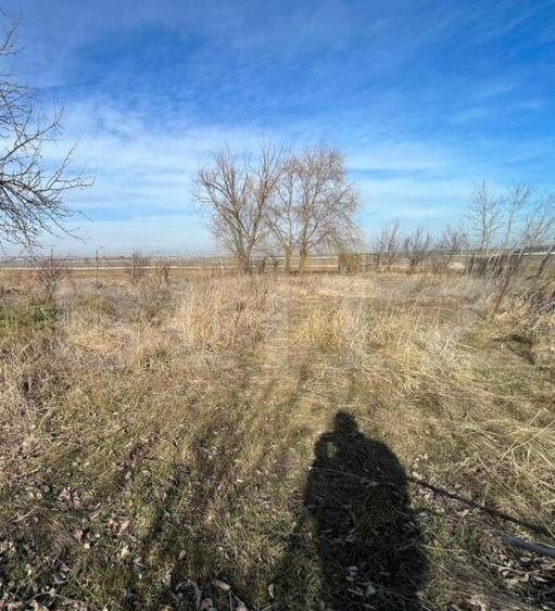 Casa P+1 + hala, cu 2083 mp de teren, zona Aeroport/Peugeot - 3