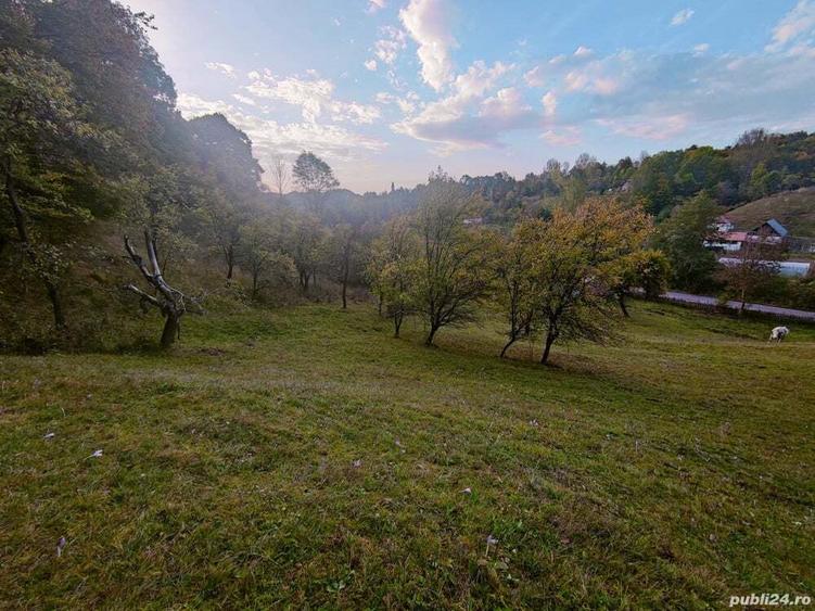 Casa de vanzare cu gradina teren de aprox 7000 mp,6.5 euro mp - 8