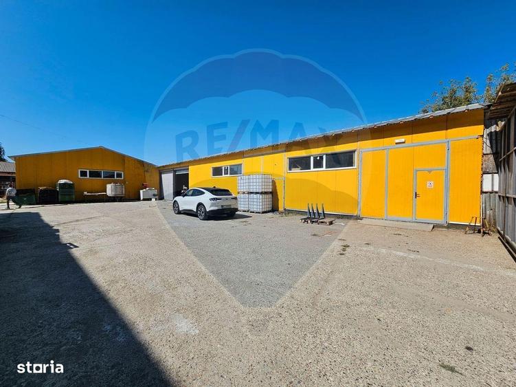 Hale Industriale 5065 mp de vanzare Str. Bradului - Bacau - 5