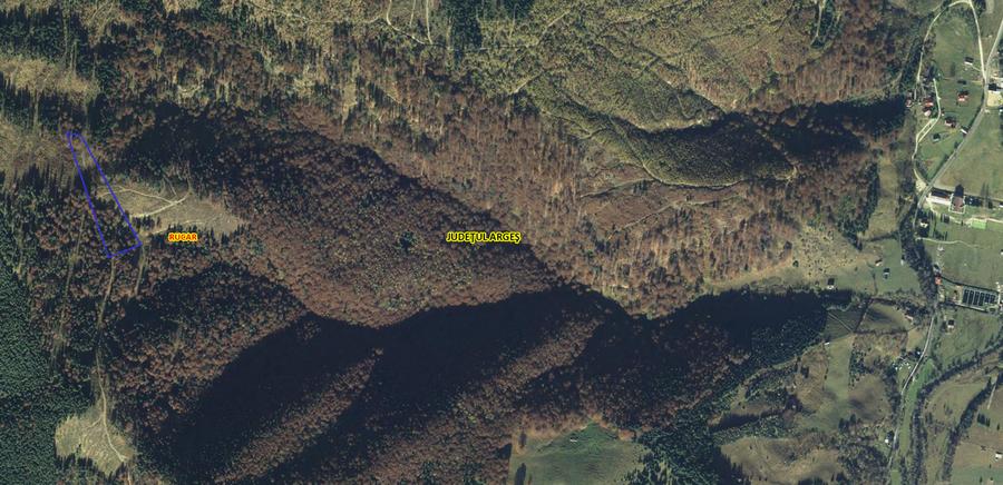 Vand padure 5 ha, Satic, Rucar-Bran - 2