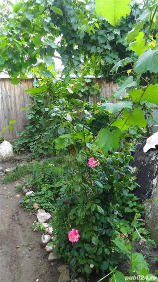 Casa de vanzare - 10