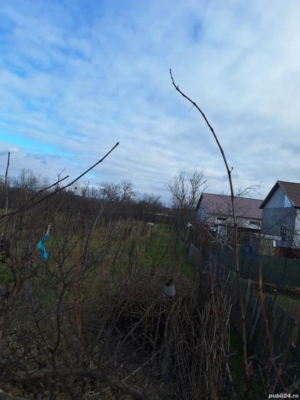 Casa batraneasca de vanzare in Orasul TECUCI - 8