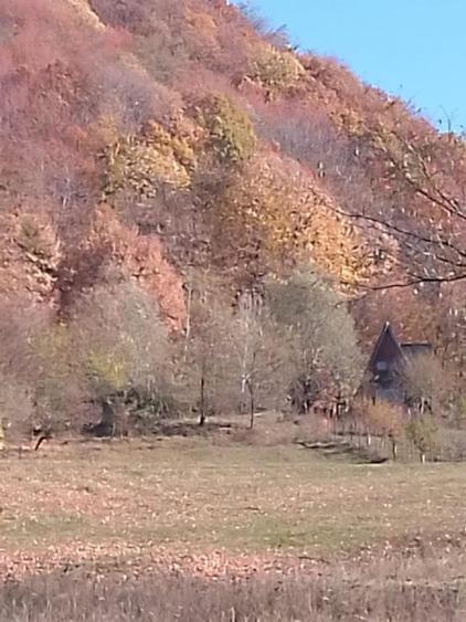 NOU / INVESTITIE/ PRETABIL CASA DE VACANTA - 1