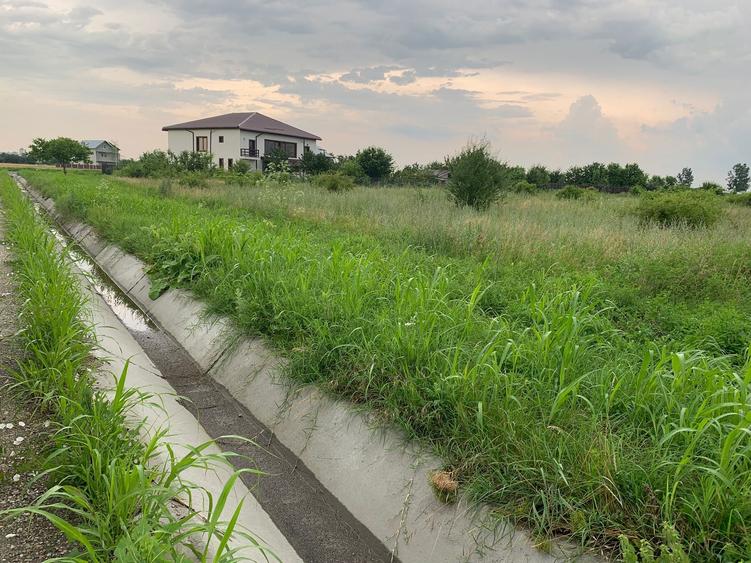 Vand teren in Buda Jud. Ilfov, str. Scolii - 14