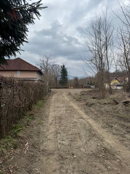 Teren Intravilan - parcelabil - 1.450 mp - Valea Avrigului - 5