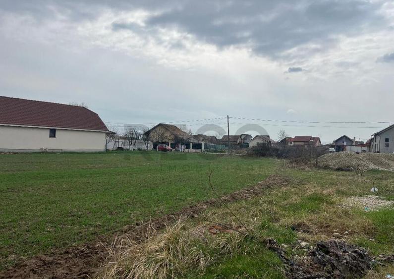 RECO IMOBILIARE,TEREN Cihei - 2