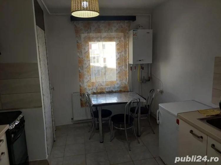 Apartament Buzias - 4