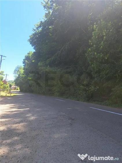 RECO Apartament cu doua camere in Padurea Neagra - 3