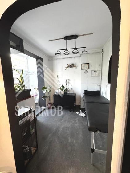 Spatiu de birouri central - Piata Mihai Viteazul - 4