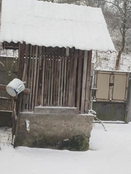 Proprietar vand casa la 14 km de Deva in 2 rate - 1