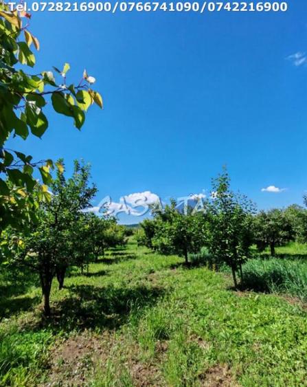 Casa situata in Samarinesti, sat Valea Bisericii - 5