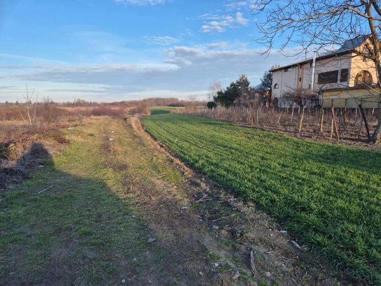 Vand teren in Tandava cu deschidere la PADURE (Gradinari, Giurgiu) - 1