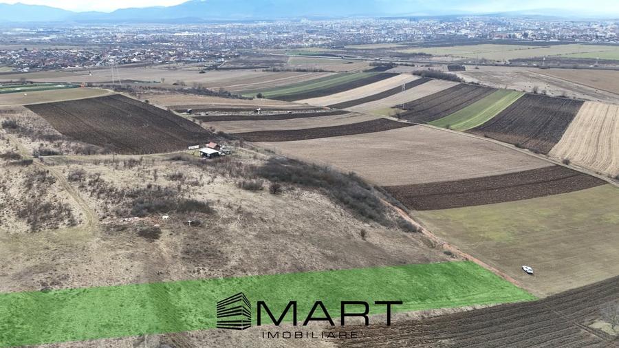 Teren extravilan 4500mp cu autorizatie adapost agrigol in Gusterita - 3