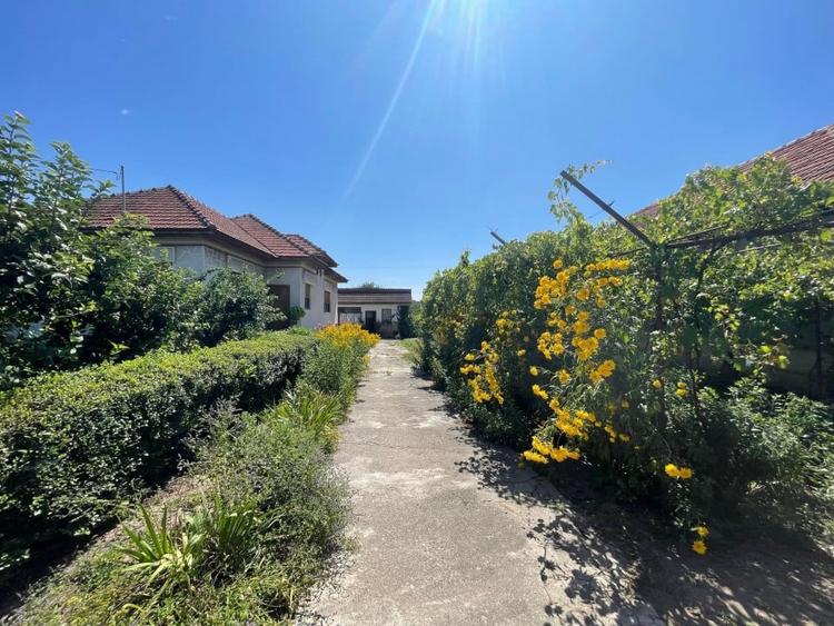 Casa 4 Camere + Teren (6500mp) si Anexe, Turcinesti - 2