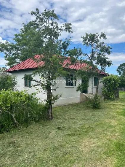 Casa Recea la doar 45 km de Pitesti Casa Recea la doar 45 km de Pitesti