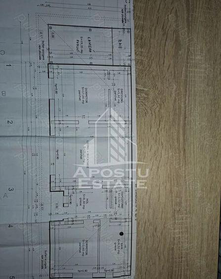 Casa individuala in zona TIpografilor - 24