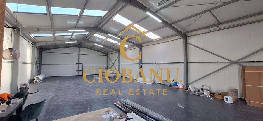Hala de vanzare in Racarii de Jos - 10
