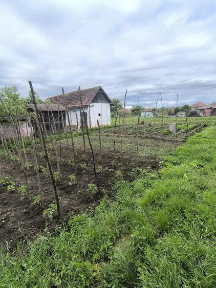 Casa de vanzare!! - 4