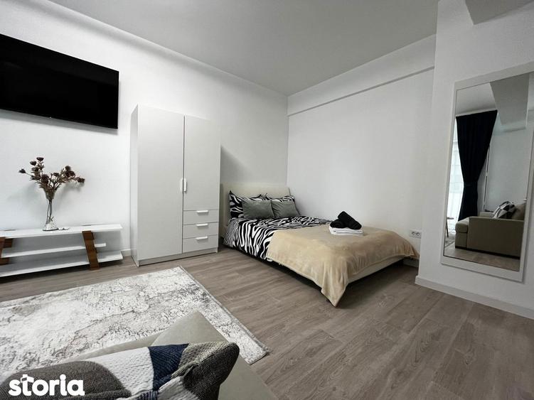 Apartament de inchiriat, o camera, Open space, 35 mp, Lunca Cetatuii - 10