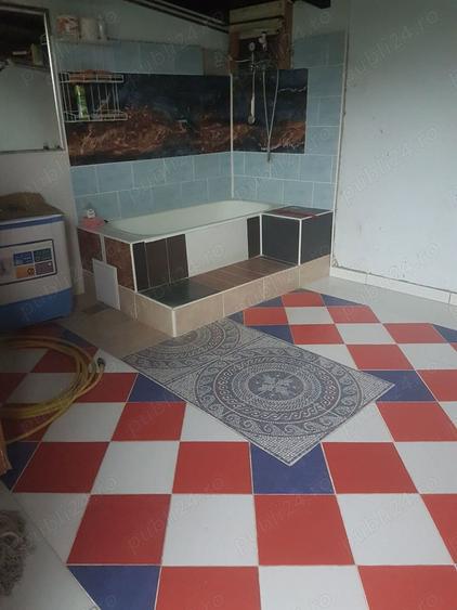 Casa cu iaz jud Teleorman - 4