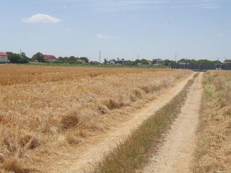 Teren situat in Balotesti,langa padure,acces drum pietruit, 28000 euro - 1