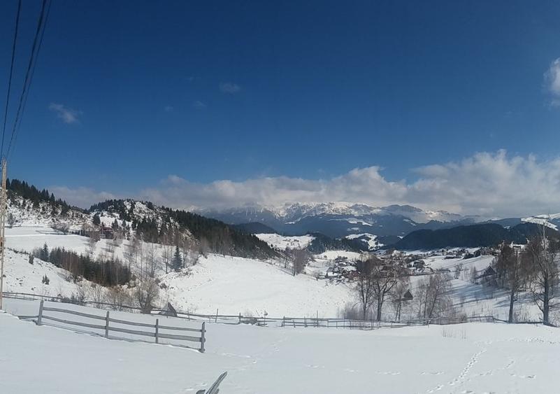 TEREN EXTRAVILAN SAT FUNDATA - 9