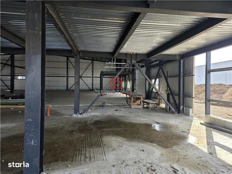 Vanzare depozithalaspatiu industrial Otopeni - Centura, Ilfov - 5