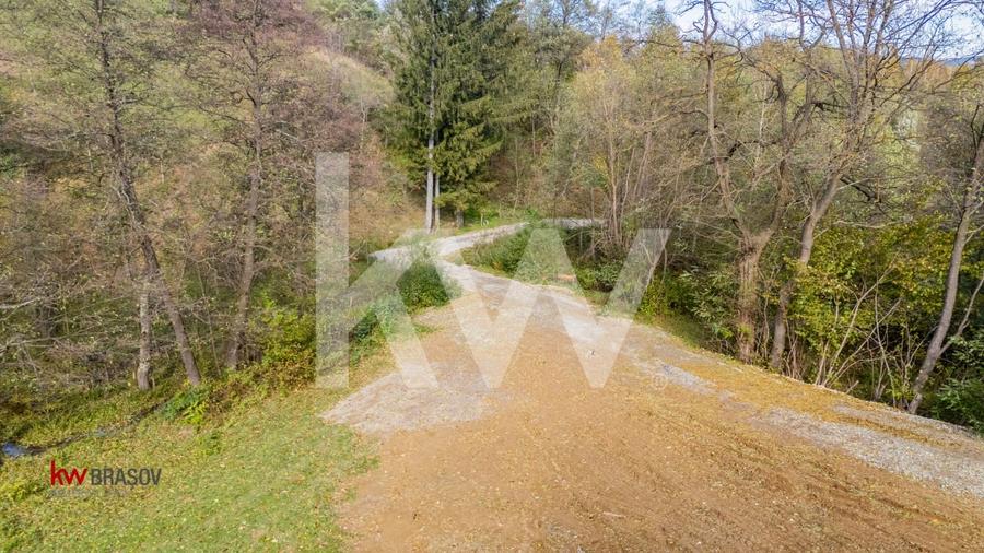 Vanzare teren intravilan 37723 mp Zarnesti Tohanita - 17