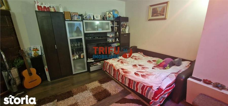 Oferta Vanzare Casa in ?eu?a, Comuna Ciugud - 16