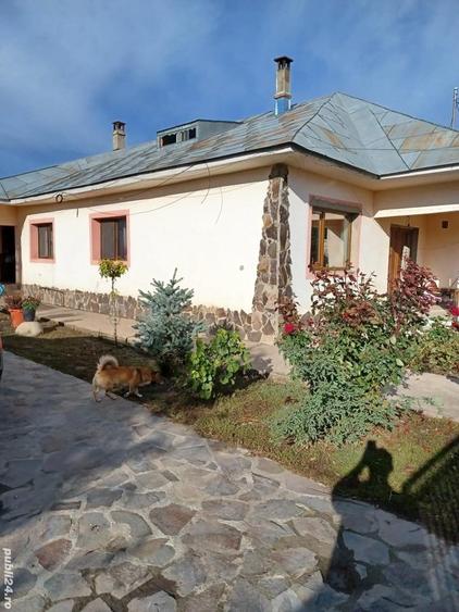 Vand casa Draganesti Jud Gala?i , 160m, teren 1750m cu livada de pruni ?i alte specii . - 18