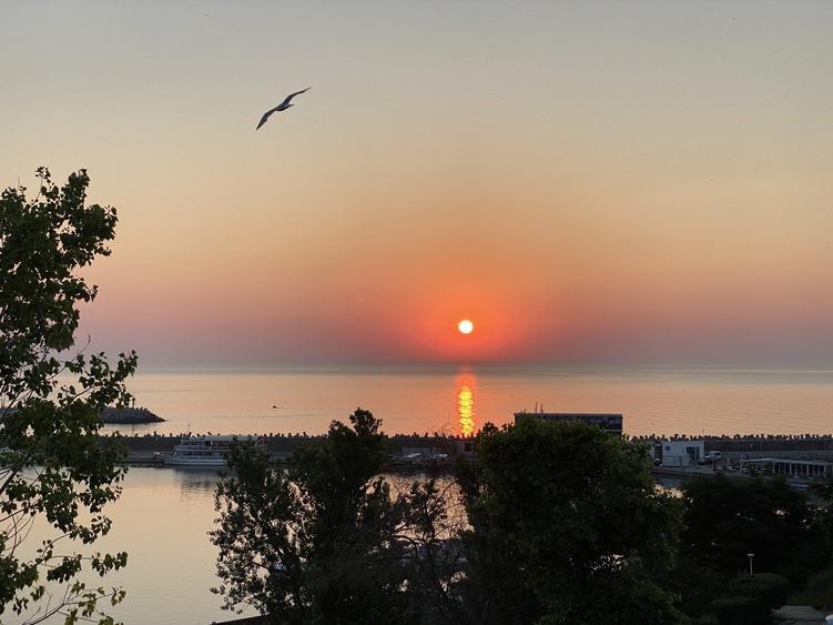 Peninsula , Piata Ovidiu - 7