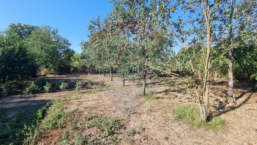 Teren intravilan de inchiriat  - 3.600mp Soseaua Unirii - Balotesti - 27