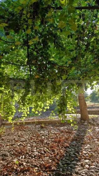 Casa de vanzare Budacu de Jos | 6 km de centrul Bistri?ei | Teren 24 arii - 8