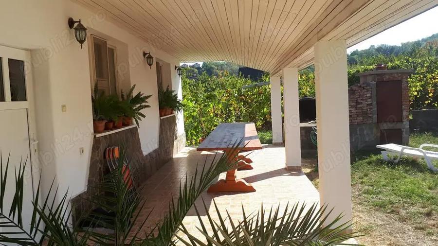 Casa mare de familie + casa secundara, teren 5500 m2 , 300 pomi Oradea, strada Prunilor - 3