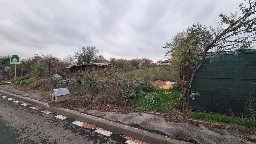 Teren dobroesti la lac - 4