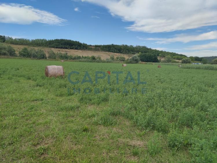 Comision %! Teren intravilan 22 400 mp, suprafata plana, sat Fundatura Cluj - 3