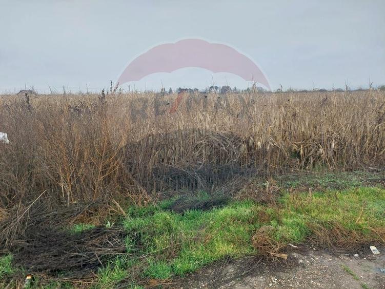 Teren intravilan de vanzare - Nicolae Balcescu, jud. Bacau - 5