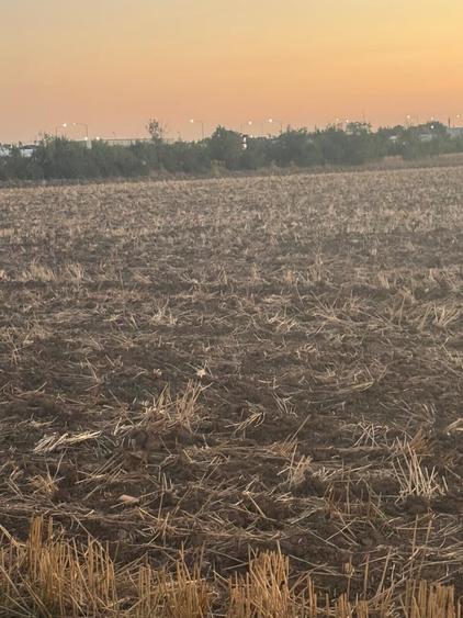 Branesti vand teren intravilan 2.500 mp, pret 70 euro/ mp - 4