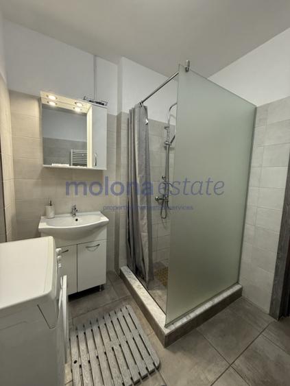 Apartament 2 camere de închiriat,Calea Turzii, Cluj-Napoca - 9