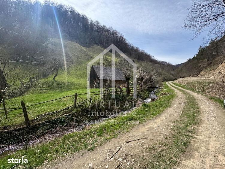 Teren intravilan + faneata, ideal pentru investitie - Rau Sadului - 1