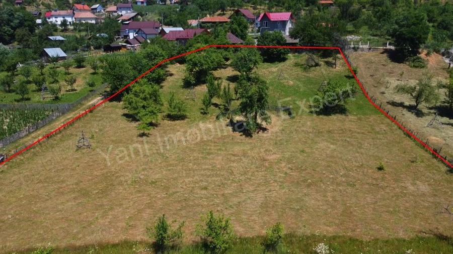 Teren de vanzare in comuna Cicane?ti, sat Bara?ti, jude? Arge?. - 10