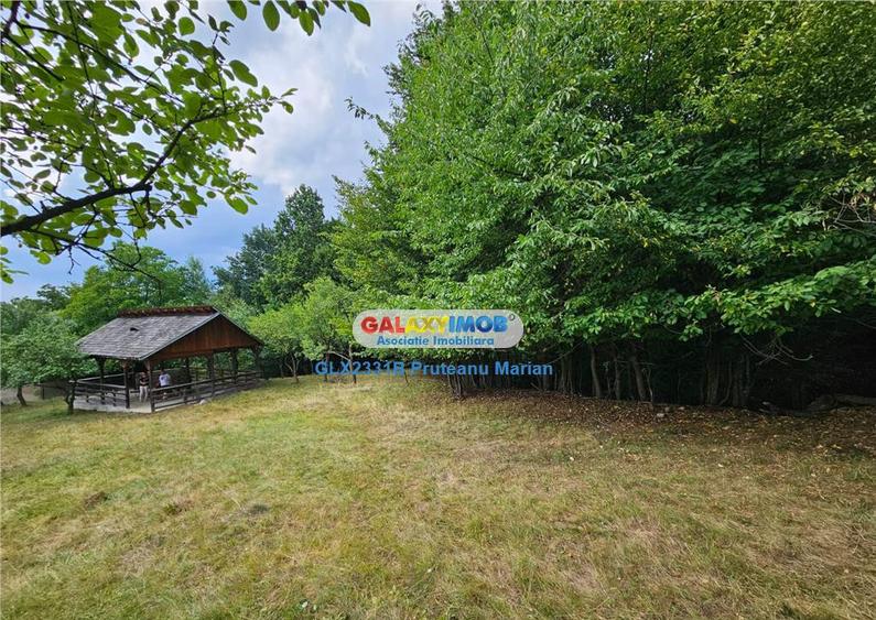 Teren 2680 m situat la Curtea de Arges cu iesire spre Trans - 3