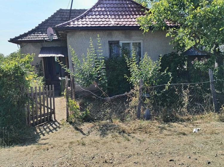 Casa locuibila + teren 2100 mp de vanzare Tamaseni, Satu Mare - 5