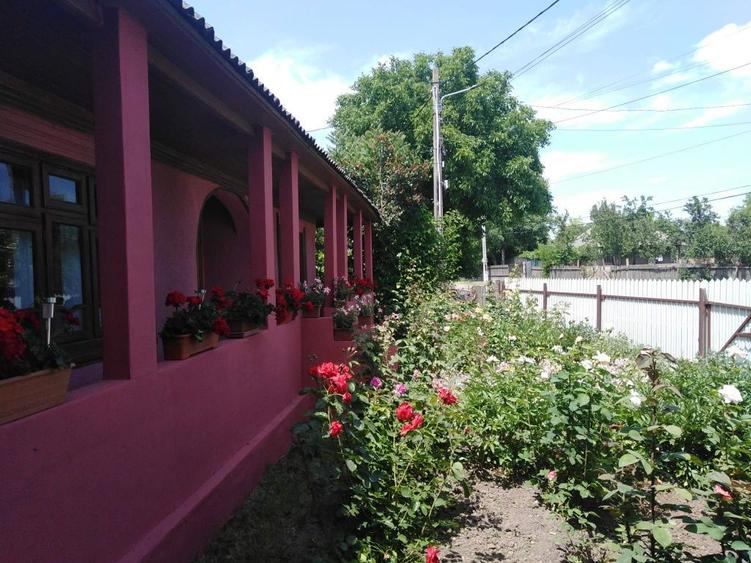 Casa la tara intretinuta, 3 camere + teren generos Trifesti judetul Iasi - 2