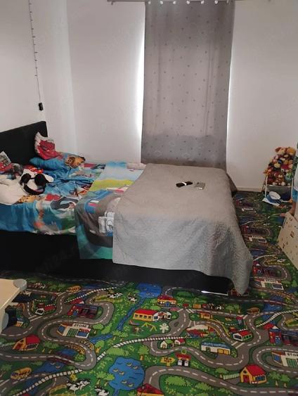 casa 3 camere complet renovata ?i mobilata in sat ianova 17 km de Timi?oara - 4