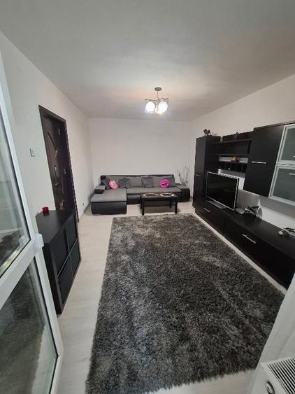 Proprietar inchiriez apt.2 camere Dristor pet friendly - 7
