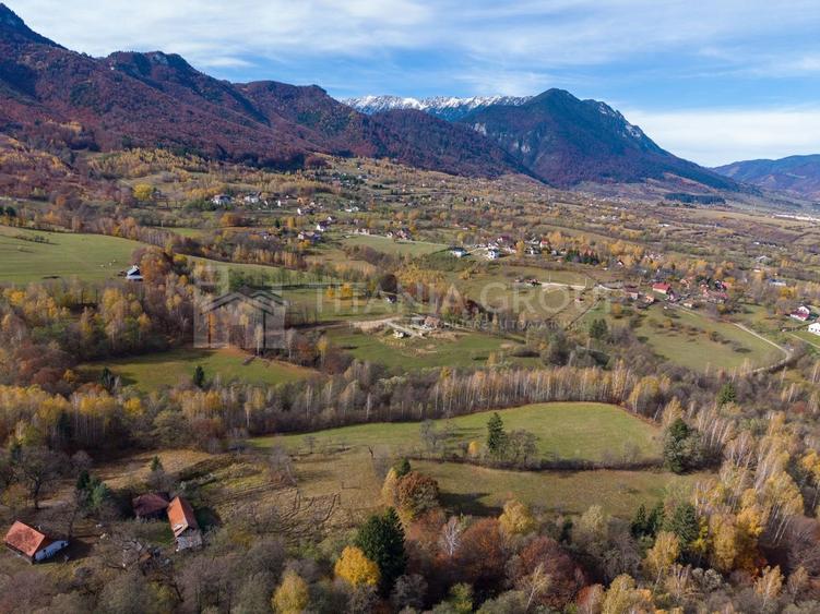 Teren intravilan, cu PUZ, Bran Tohanita,  SE ACCEPTĂ ȘI SCHIMB - 25