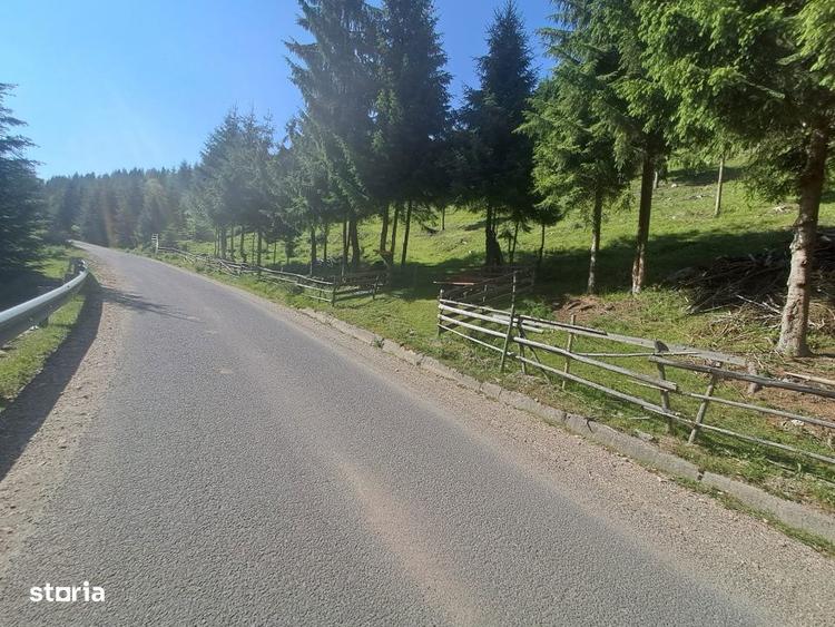 Teren Intravilan 1000mp | Drum ASFALTAT | MAGURI | PANORAMA - 4