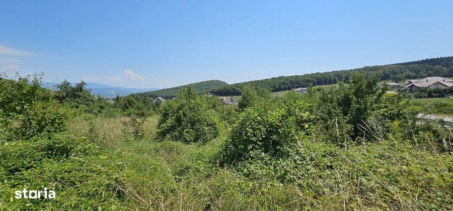 1300mp de Teren in Valea Jelnei, Bistrita - 6